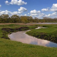 Реченька. :: Анатолий Уткин