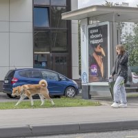 Пора :: Валерий Иванович