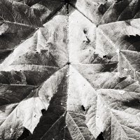 Назва. отсу. :: Денис Безногов