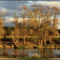 Осень золотая :: Aleksandr Gal