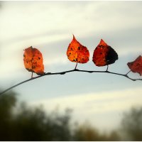 Гвардейцы кардинала... :: Aleksandr Gal