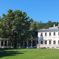 Усадьба Вяземских. :: ИРЭН@ .