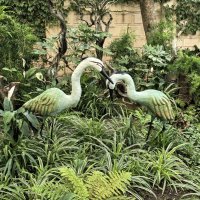 Кусочек джунглей :: Татьяна Михайлова