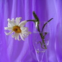 Взгрустнулось... :: Галина Кузьмина