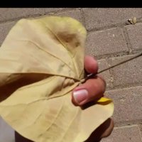 113 (60) :: CLOSE WAYS ALL