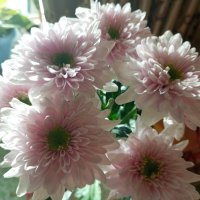 Букет на день рождения :: Елена Семигина