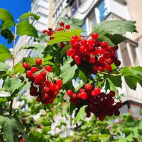 ,,, :: Сергей Тимоновский