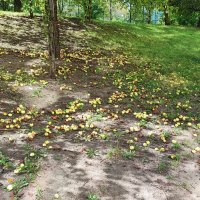 ,,, :: Сергей Тимоновский