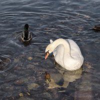 Про сентябрь :: Владимир Колесников