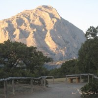 Природа Крыма :: Amazing Cosmea