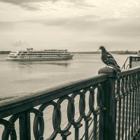 Встреча :: Наталья Сафронова