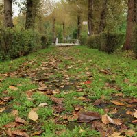 Сентябрь. Дождь. Осень. :: Александр Николаев