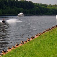 Гонки при полных трибунах :: Александр Орлов Гонки при полных трибунах :: Александр Орлов