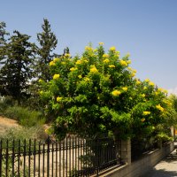 Кипр. Ларнака :: Андрей 