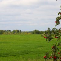 ... :: Владимир иванов