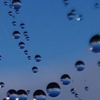 Капли росы на паутине :: Наталия 