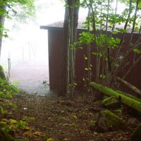 К молочным берегам :: liudmila drake