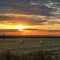 Сенокос :: Натали Королева Сенокос :: Натали Королева