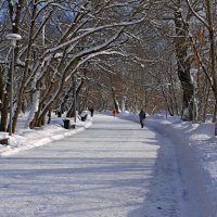 В городском парке :: Игорь Белоногов В городском парке :: Игорь Белоногов