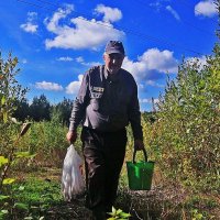 Сентябрь...Мои грибные трофеи! :: Владимир 