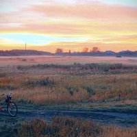Розовое утро в бархатном рассвете! :: Елена Хайдукова  ( Elena Fly )