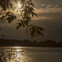 На закате :: Андрей Пристяжнюк