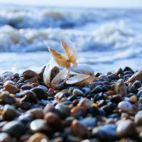 на закате дня :: Oksana Verkhoglyad