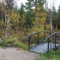 Мостик в осень :: Ольга 