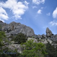 Природа Крыма :: Amazing Cosmea