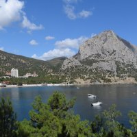 Природа Крыма :: Amazing Cosmea