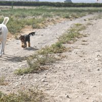 прогулка :: Осень 