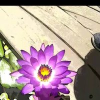 113 (62) :: CLOSE WAYS ALL