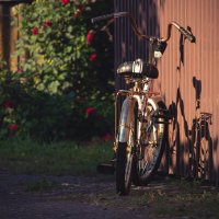 Сентябрьским утром :: Sergei Vikulov