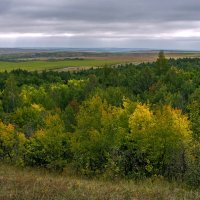 Робкие шаги Осени :: Наталья Димова