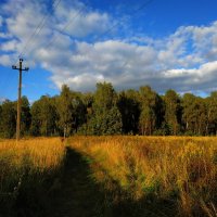 Бабье лето как оно есть :: Андрей Лукьянов