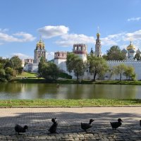 Новодевичий монастырь и Дорогу утятам! :: <<< Наташа >>>
