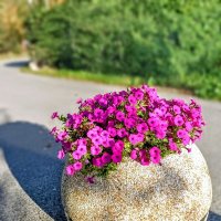 За поворотом - осень...) :: Veera V За поворотом - осень...) :: Veera V