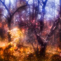 Монокль :: SanSan 