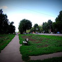 Лето. :: Владимир Драгунский