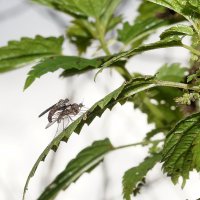 Продолжение вида... :: Андрей Катков