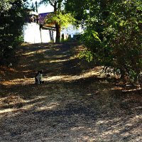 С котиком :: Юрий Гайворонскiий С котиком :: Юрий Гайворонскiий