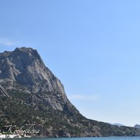 Природа Крыма :: Amazing Cosmea