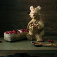 ... :: владимир 