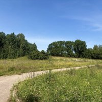 Дорога к древнему памятнику народного суеверия.... :: Наталия Павлова