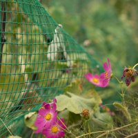 Осень :: Александр Алексеев