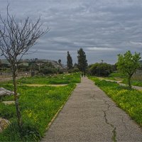 В долине Кирьят Харошат Вальруй. Под Кирьят-Тивоном 2025г :: ujgcvbif 