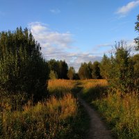 Вот, моя деревня :: Андрей Лукьянов