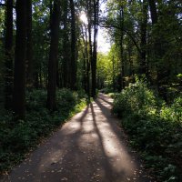 Бабье лето :: Андрей Лукьянов