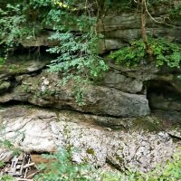 ГУАМСКОЕ УЩЕЛЬЕ :: Tata Wolf