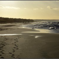 *** :: Aleksandr Gal